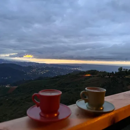 Vıra Taş Konak-2